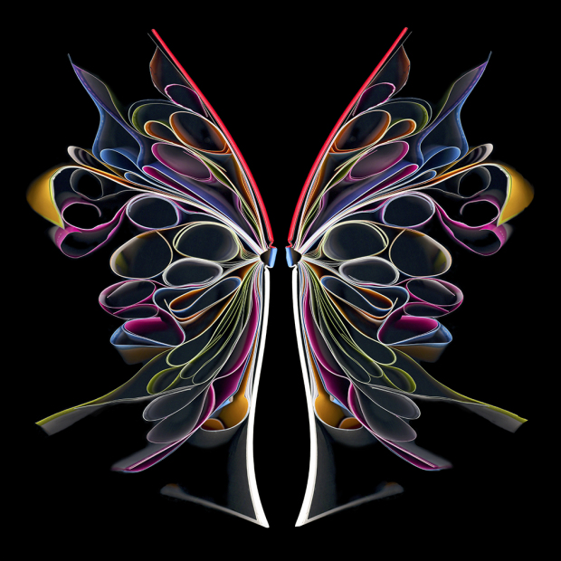 butterfly-2