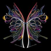 butterfly-2