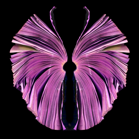 pink-butterfly_72