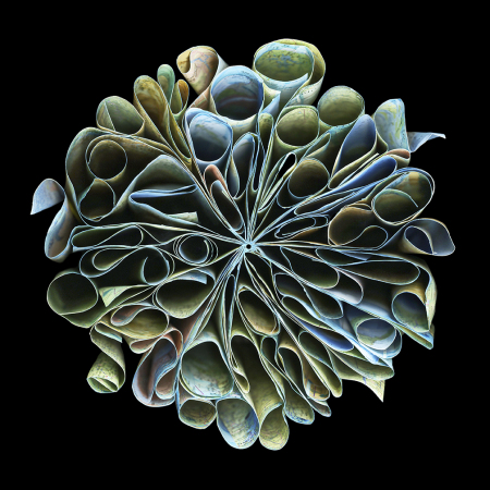 "Americas" 2015 - 48" x 48" ed./9, 36" x 36" ed./9, 24" x 24" ed./9