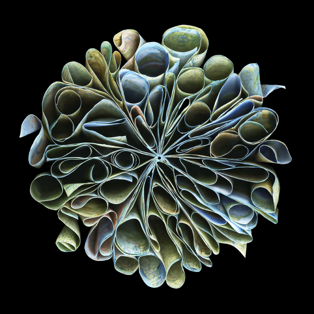 "Americas" 2015 - 48" x 48" ed./9, 36" x 36" ed./9, 24" x 24" ed./9