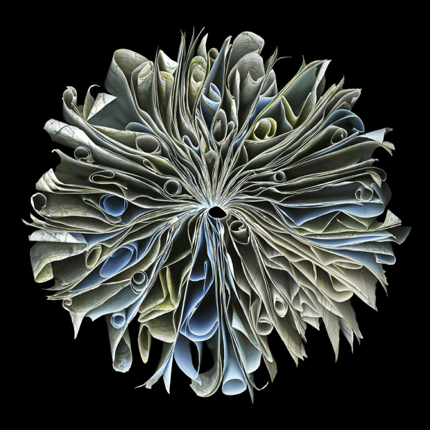 "Kingdom" 2015 - 48" x 48" ed./9, 36" x 36" ed./9, 24" x 24" ed./9