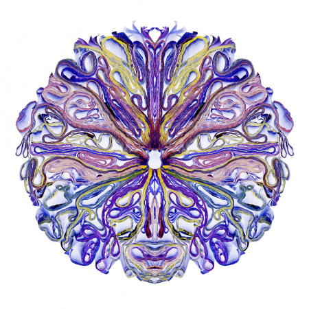 "Cosmic" 2014 -  48" x 48" ed./9, 36" x 36" ed.9, 24" x 24" ed./9
