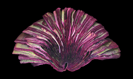 "Fuchsia" 2014 -