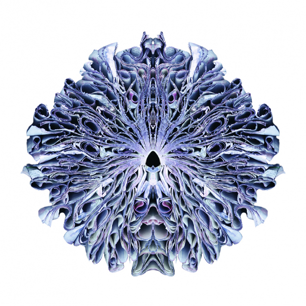 "Mighty" 2014 -  48" x 48" ed./9, 36" x 36" ed.9, 24" x 24" ed./9