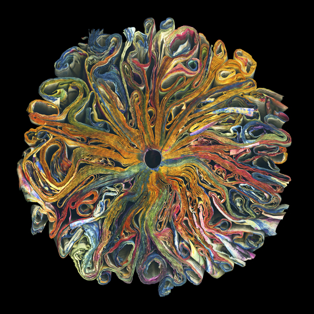 "Wildflowers" 2014 -  48" x 48" ed./9, 36" x 36" ed.9, 24" x 24" ed./9