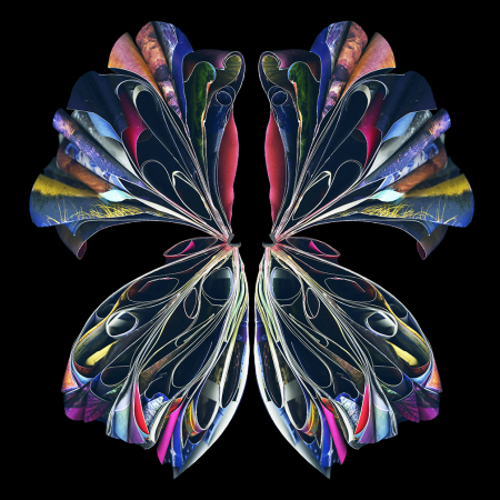 "Empress" 2014 - 48" x 48" ed./9, 36" x 36" ed./9, 24" x 24" ed./9