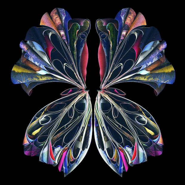 "Empress" 2014 - 48" x 48" ed./9, 36" x 36" ed./9, 24" x 24" ed./9