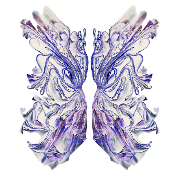 "White Glider" 2014 - 48" x 48" ed./9, 36" x 36" ed.9, 24" x 24" ed./9