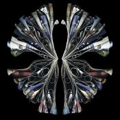 "Apollo" 2014 -  48" x 48" ed./9, 36" x 36" ed.9, 24" x 24" ed./9
