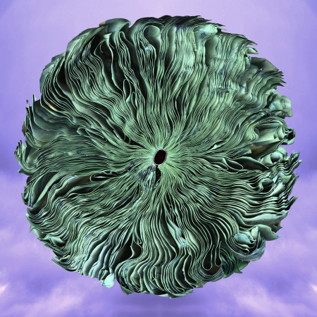 Green-Earth-New-Sky_16x_72