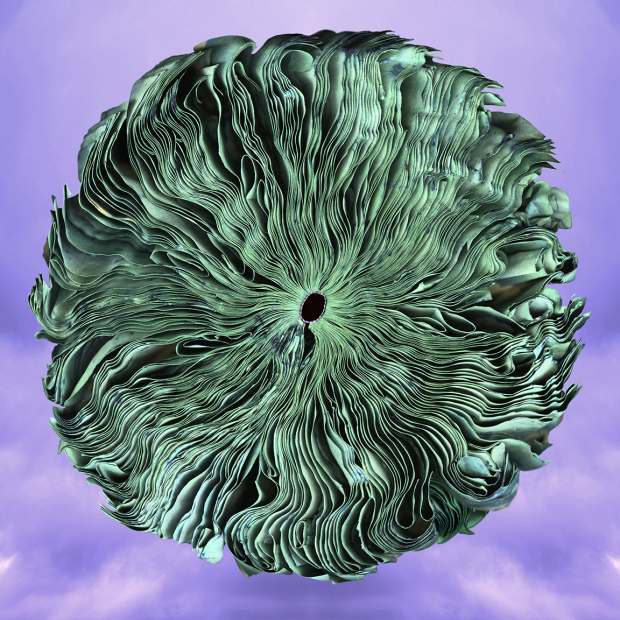 Green-Earth-New-Sky_16x_72