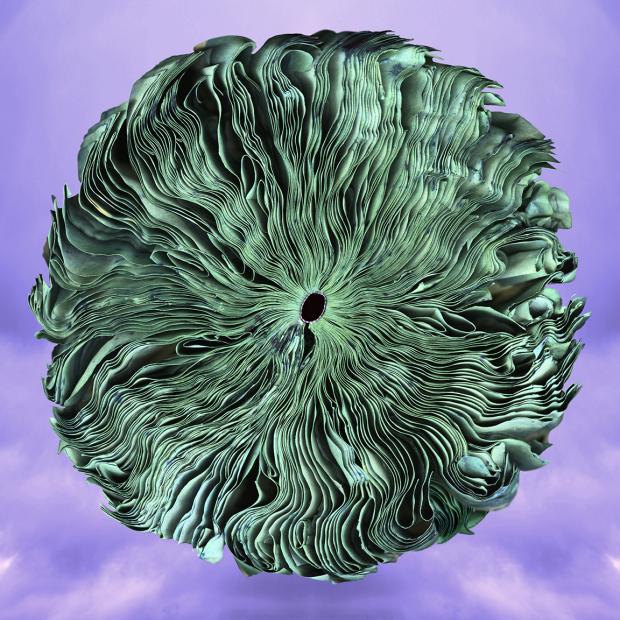 Green-Earth-New-Sky_16x_72