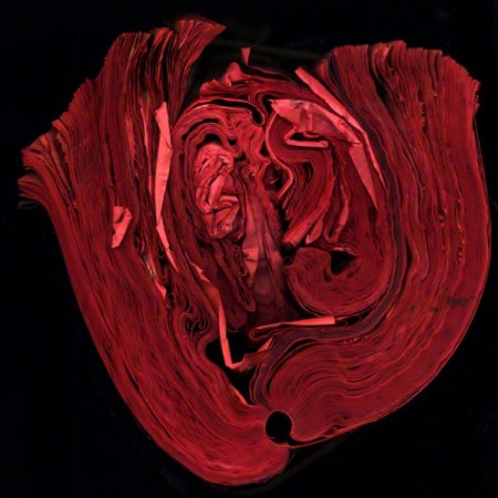 heart_72